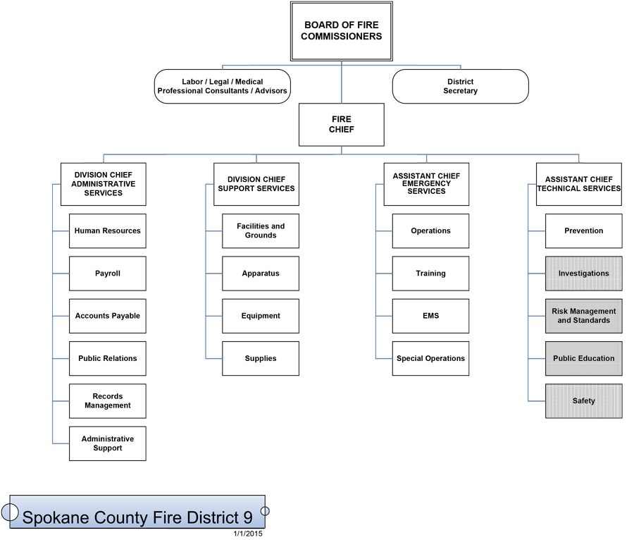 Org Chart 9